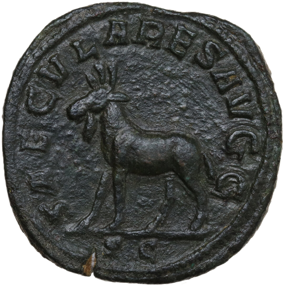 Rovescio moneta