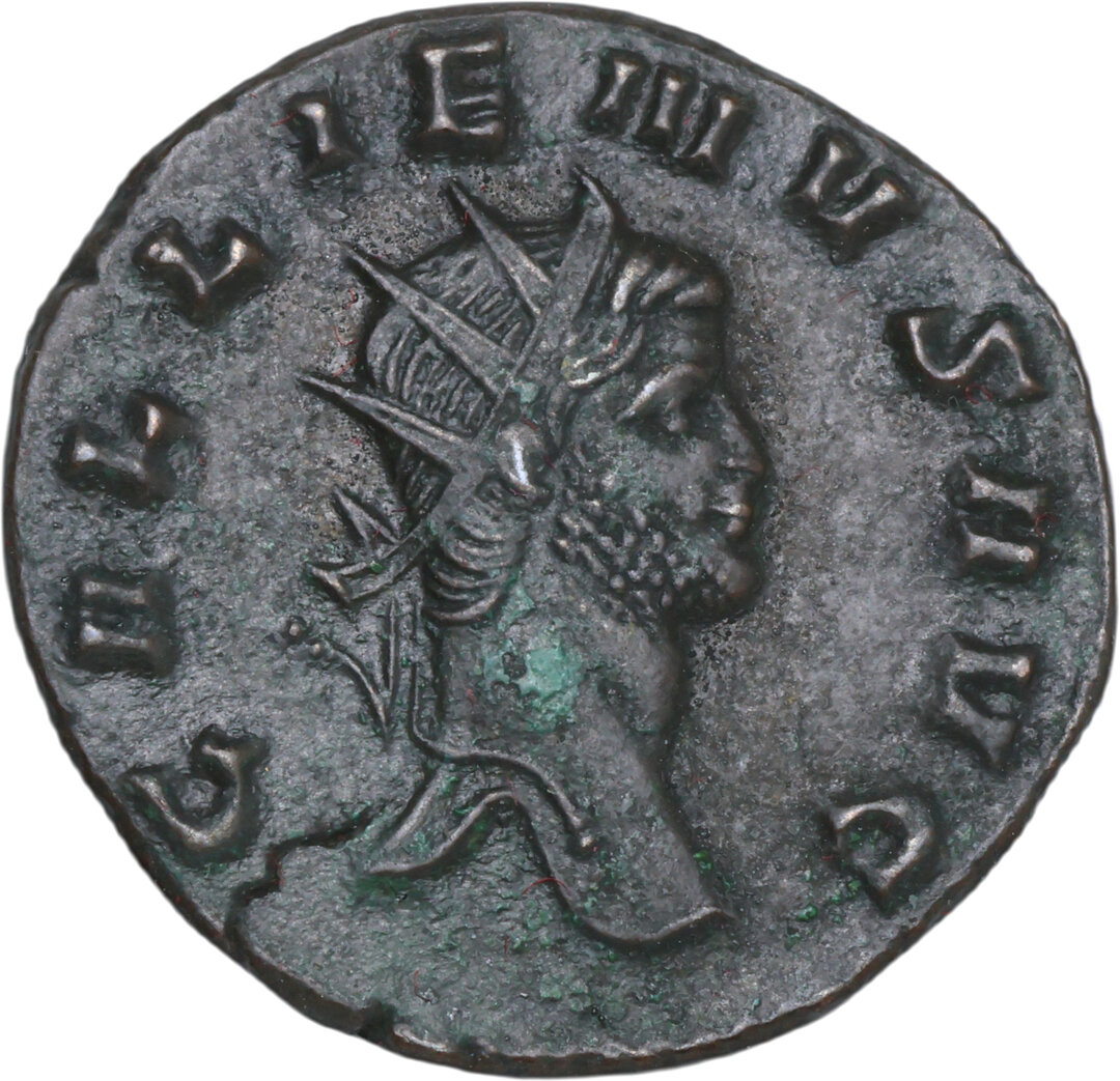 Dritto moneta