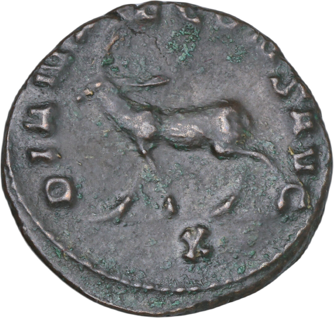 Rovescio moneta