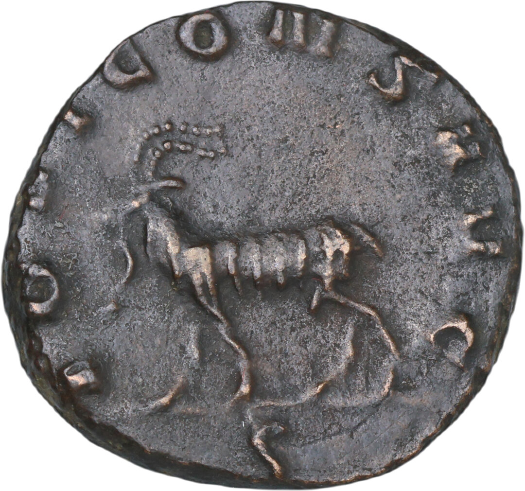 Rovescio moneta