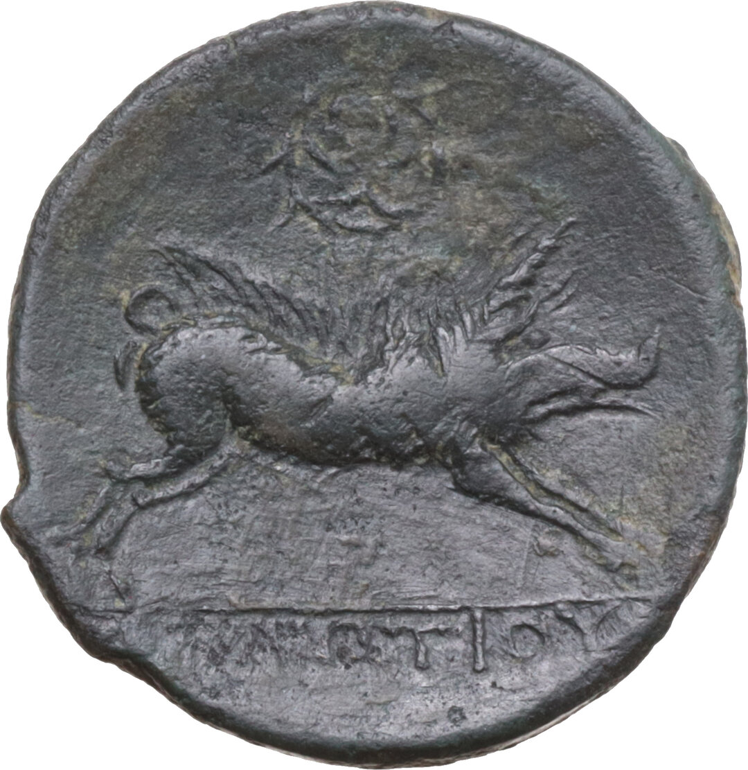 Rovescio moneta