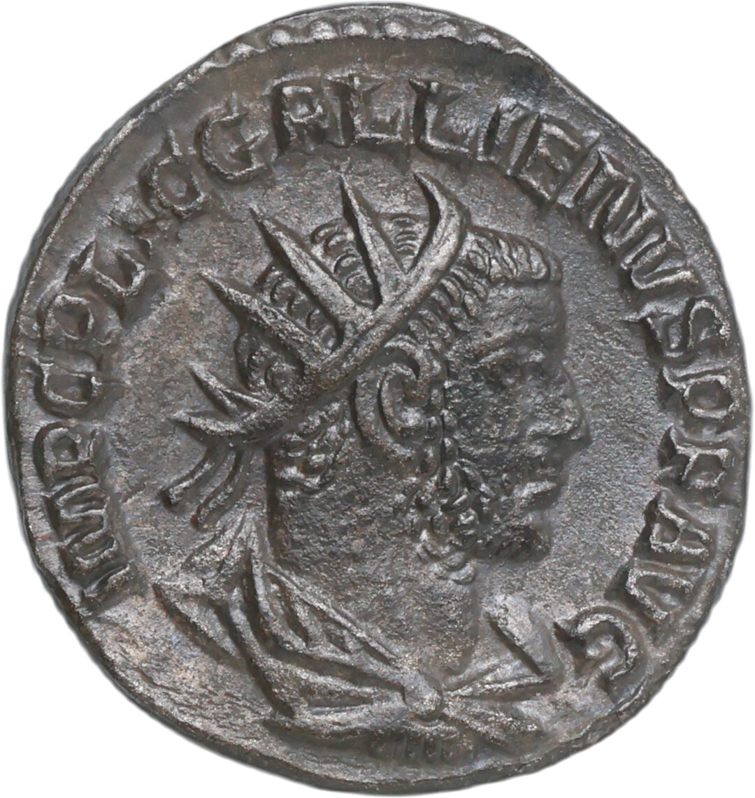Dritto moneta