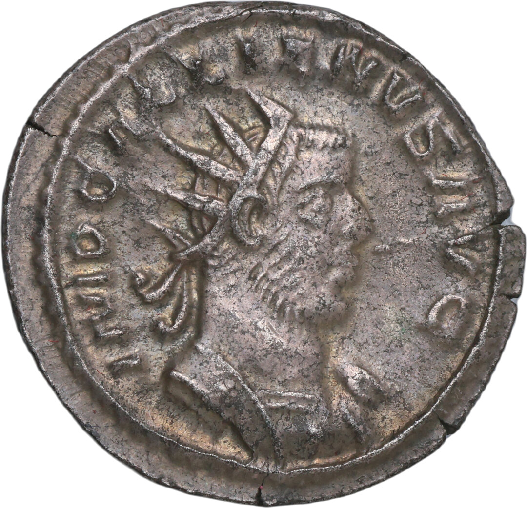 Dritto moneta