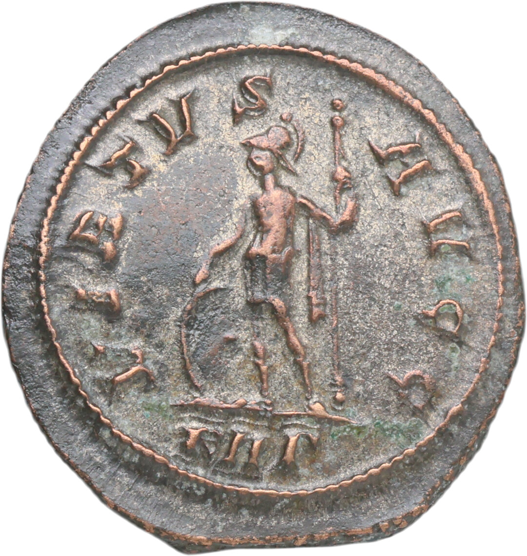 Rovescio moneta