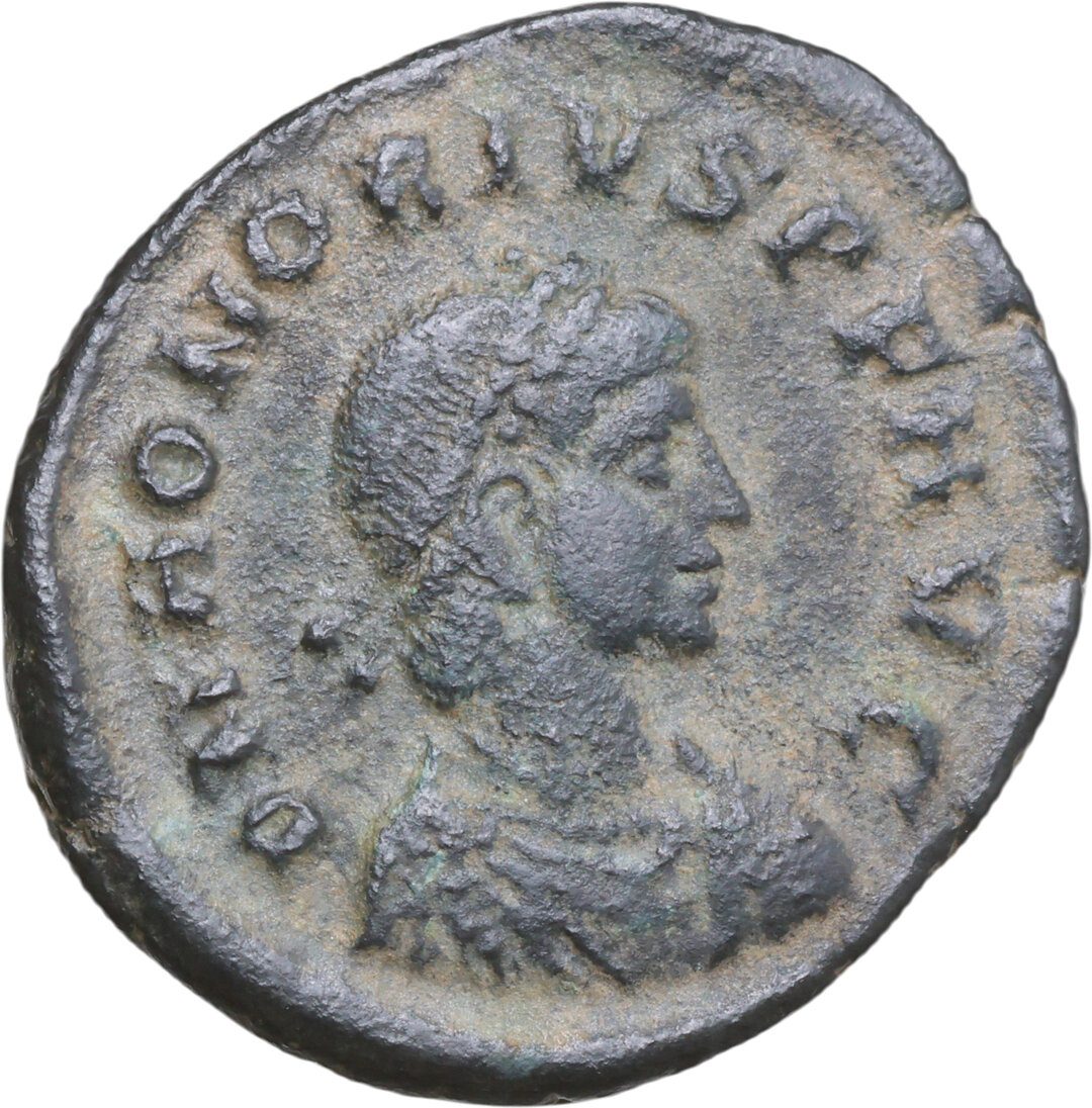 Dritto moneta
