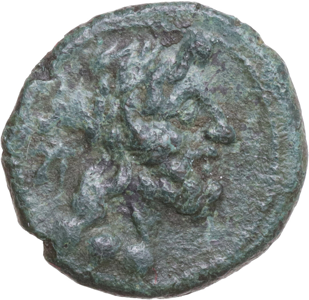 Dritto moneta