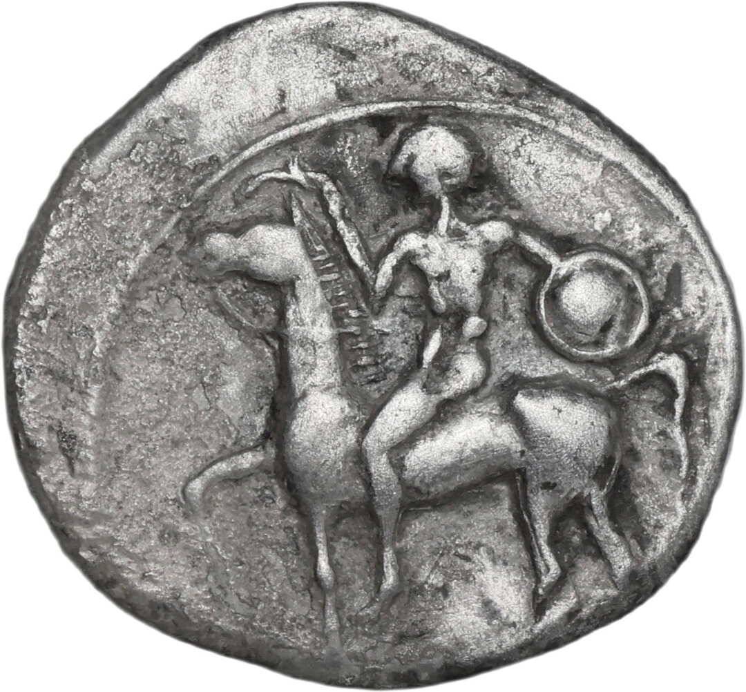 Dritto moneta