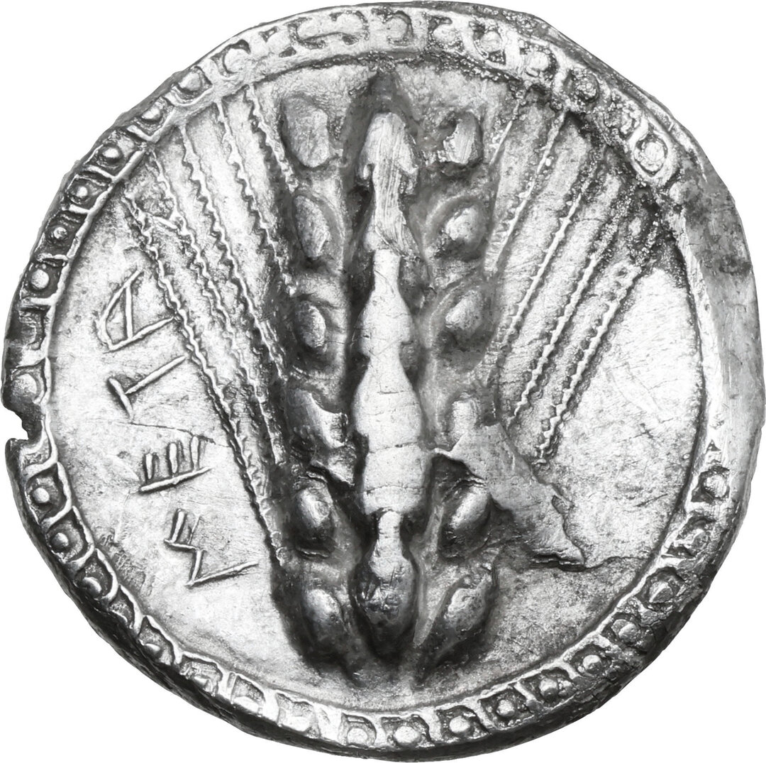 Dritto moneta