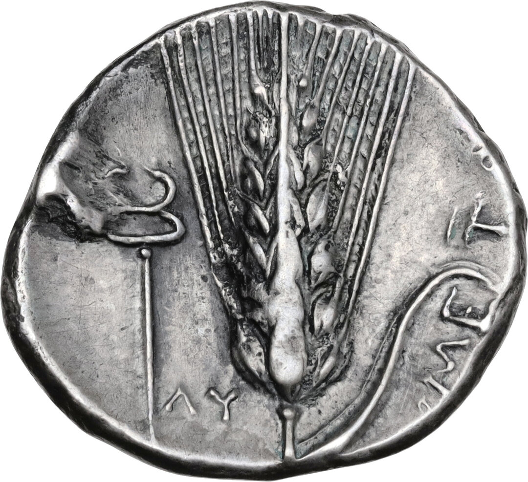 Rovescio moneta