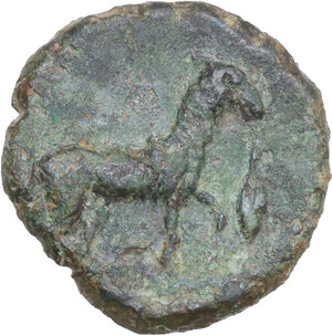 Reverse image