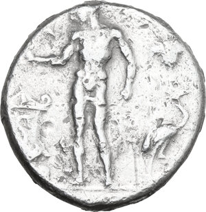 Reverse image