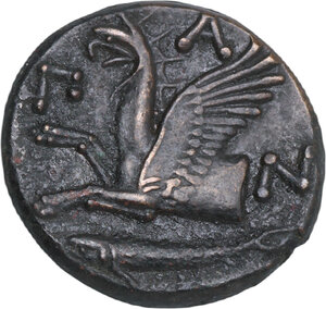 Reverse image