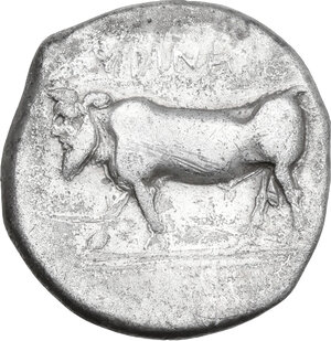 Reverse image