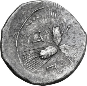 Reverse image