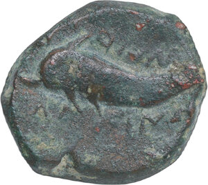 Reverse image