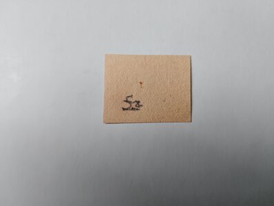 Reverse image