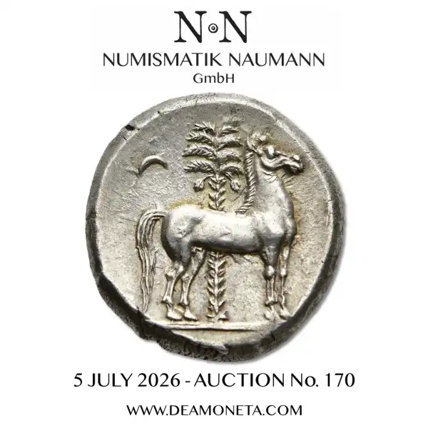 Naumann 170