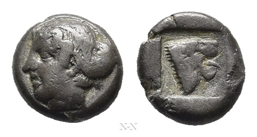 Dritto moneta
