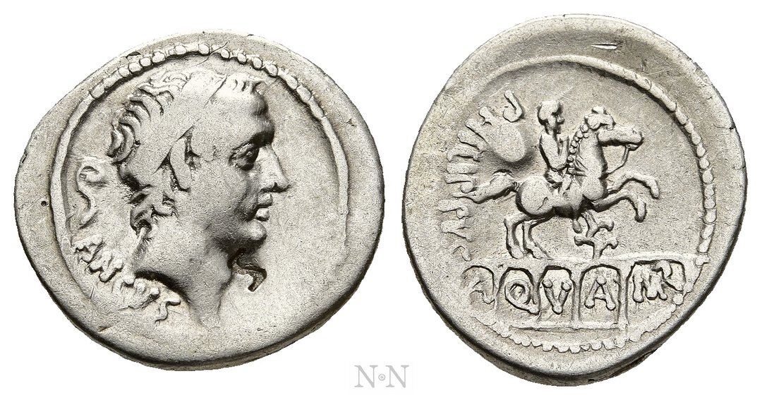 Dritto moneta