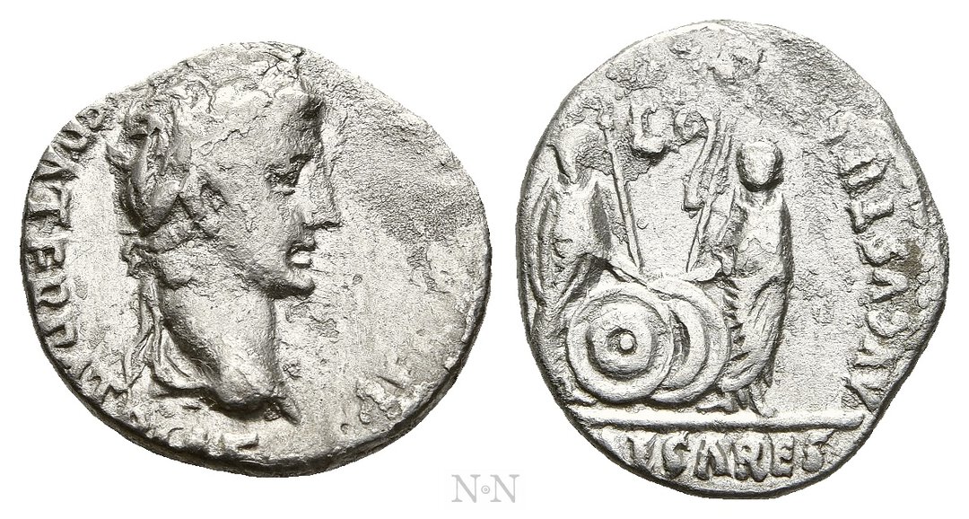 Dritto moneta