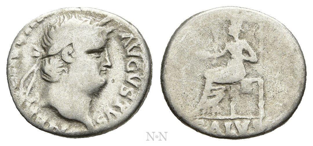 Dritto moneta