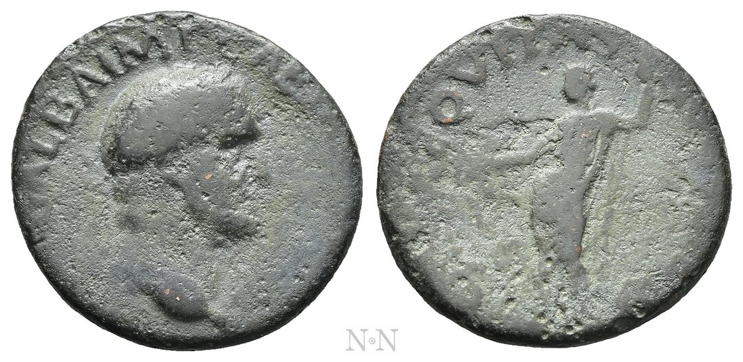 Dritto moneta