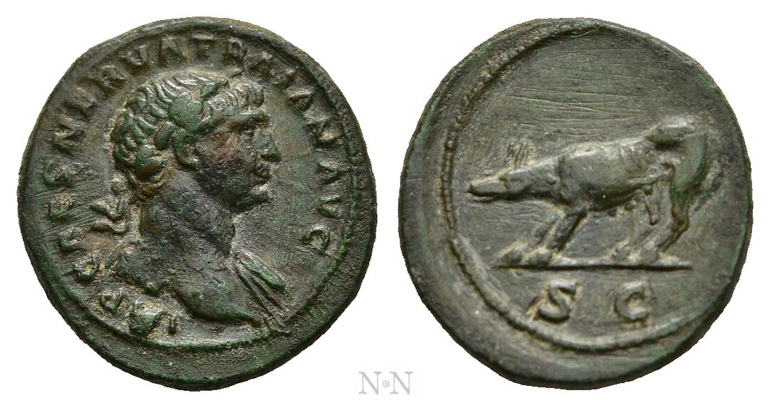 Dritto moneta