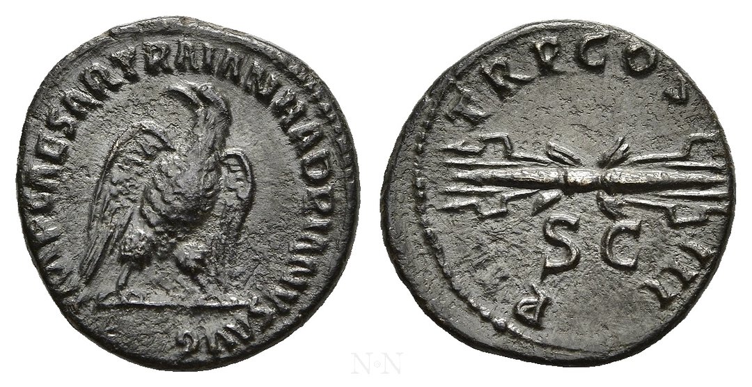 Dritto moneta