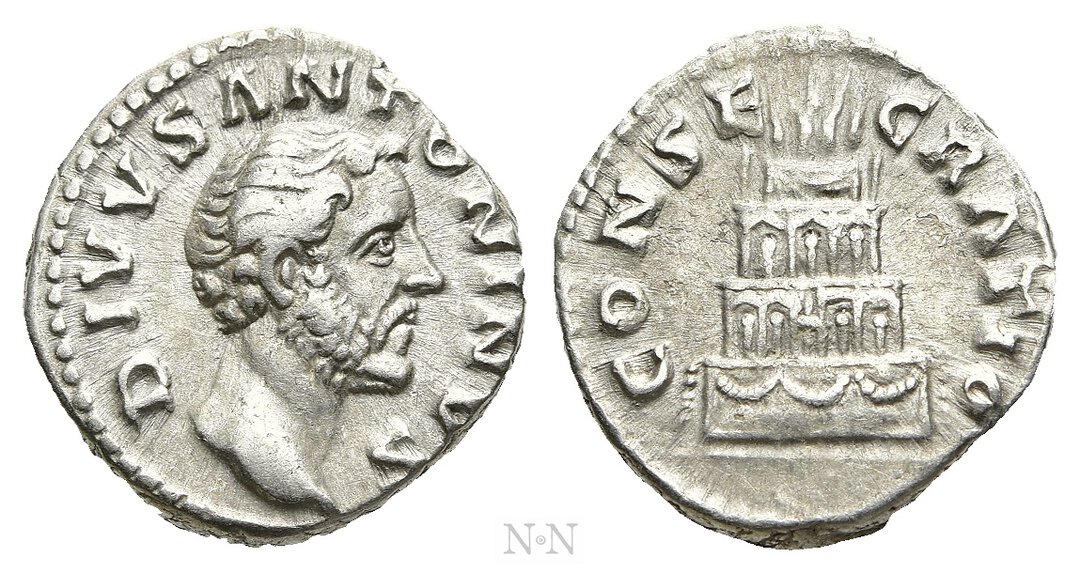 Dritto moneta