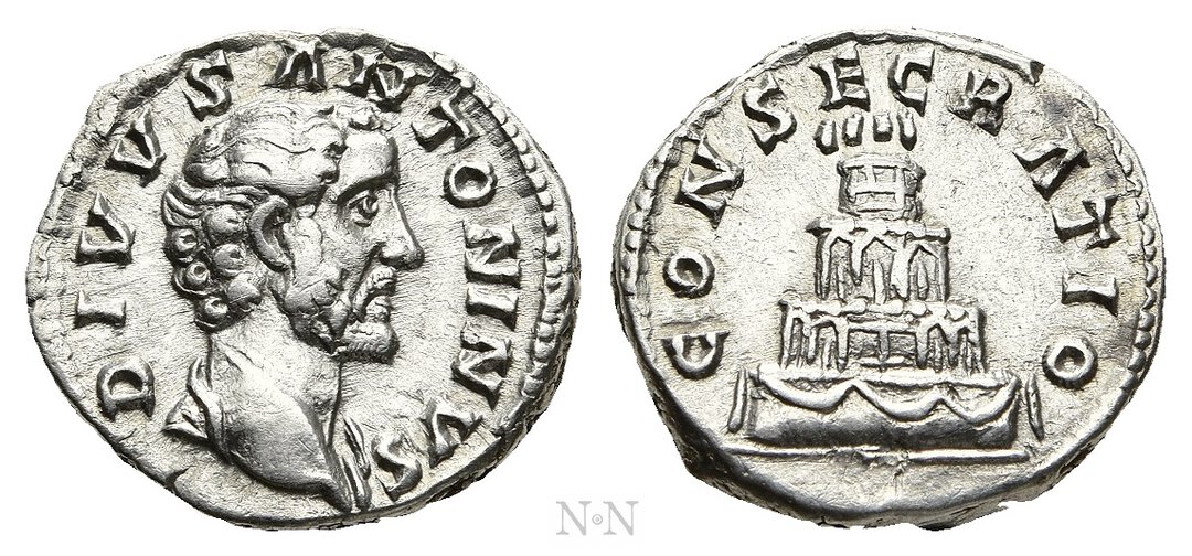 Dritto moneta