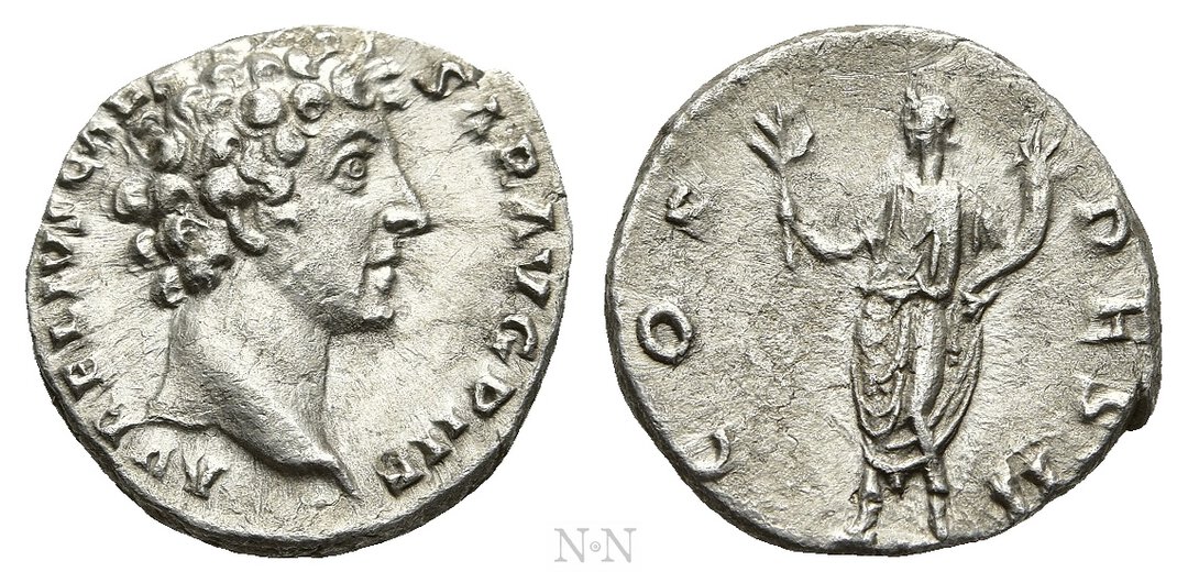 Dritto moneta