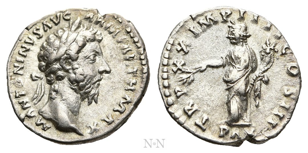 Dritto moneta