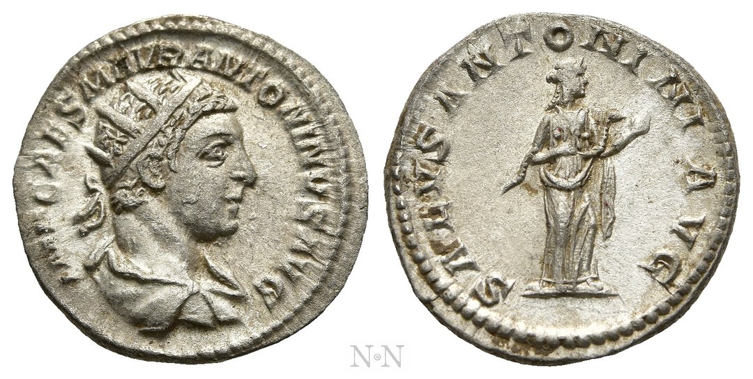 Dritto moneta