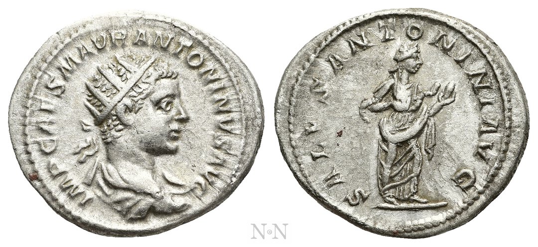 Dritto moneta