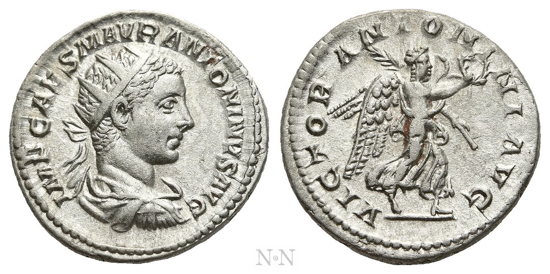 Dritto moneta