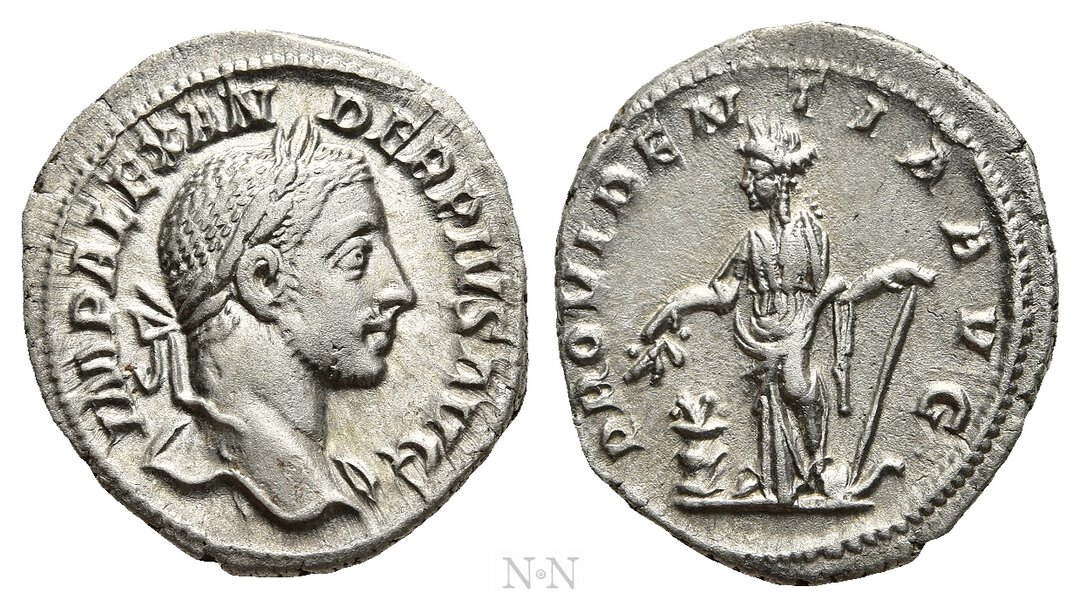 Dritto moneta