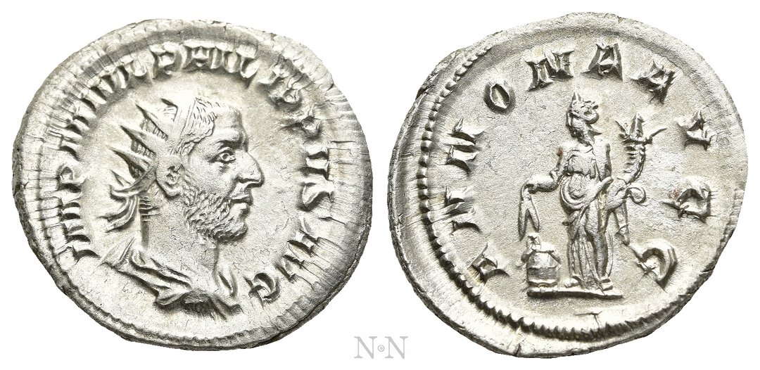 Dritto moneta