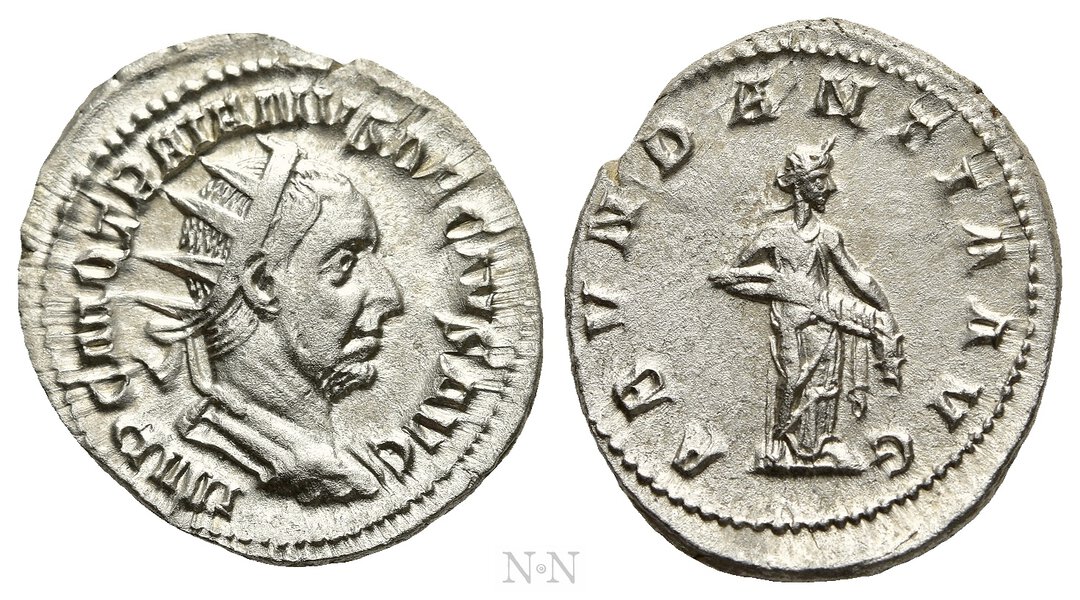 Dritto moneta