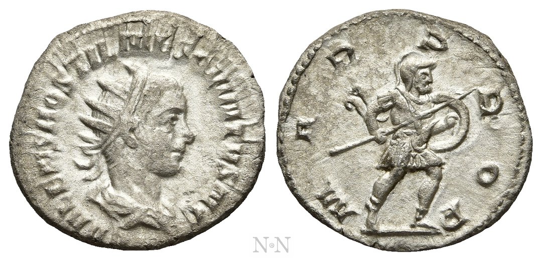 Dritto moneta