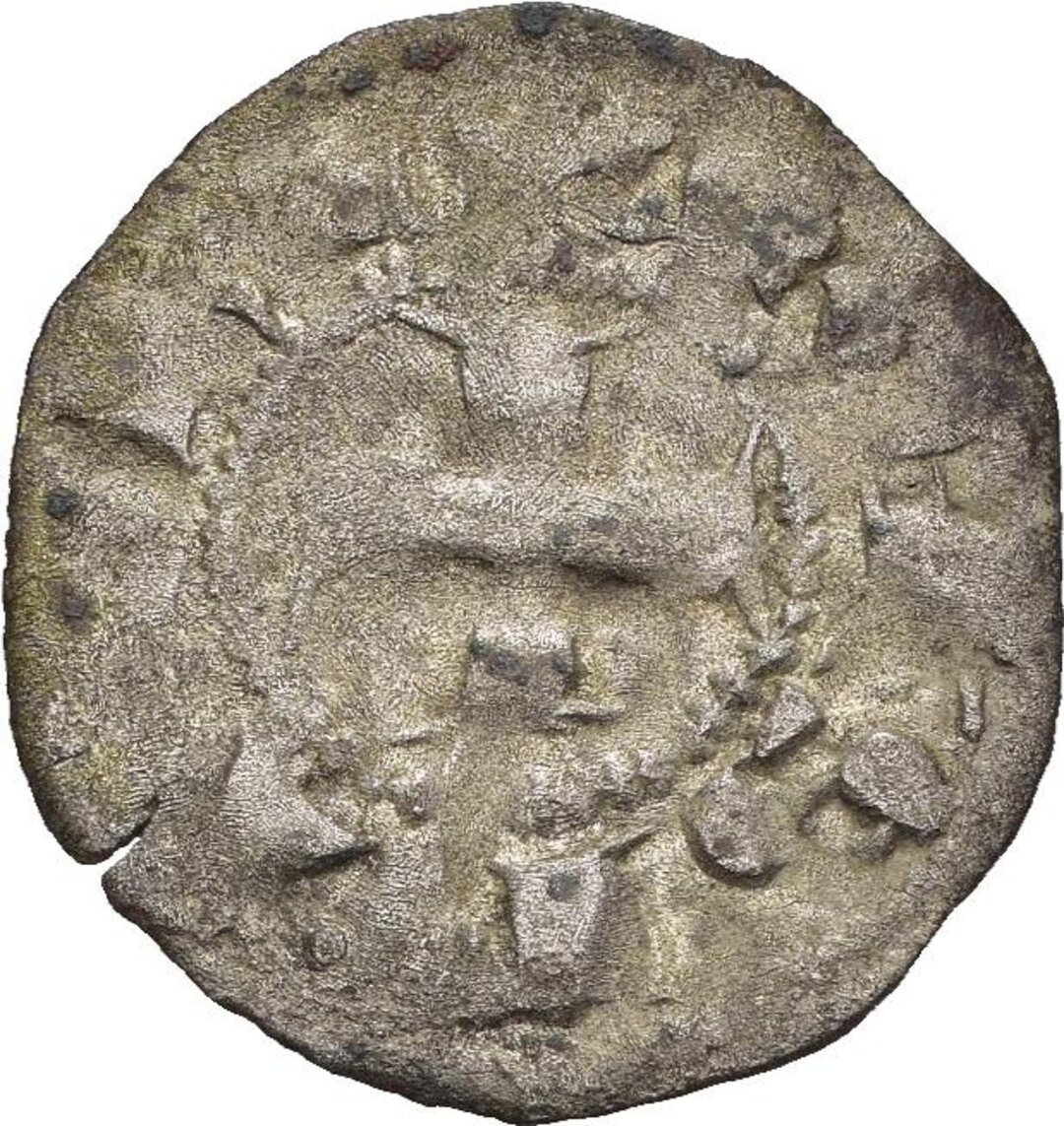 Dritto moneta
