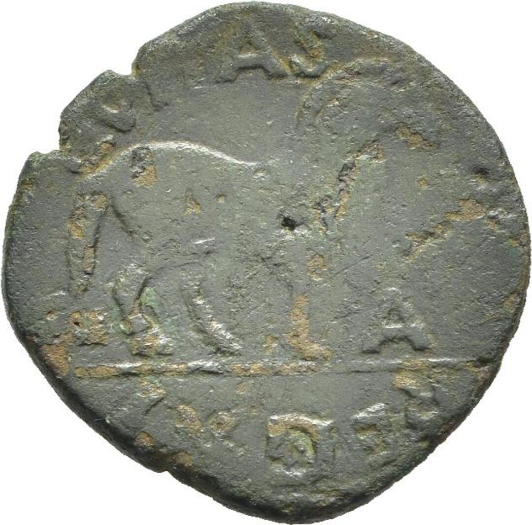 Rovescio moneta