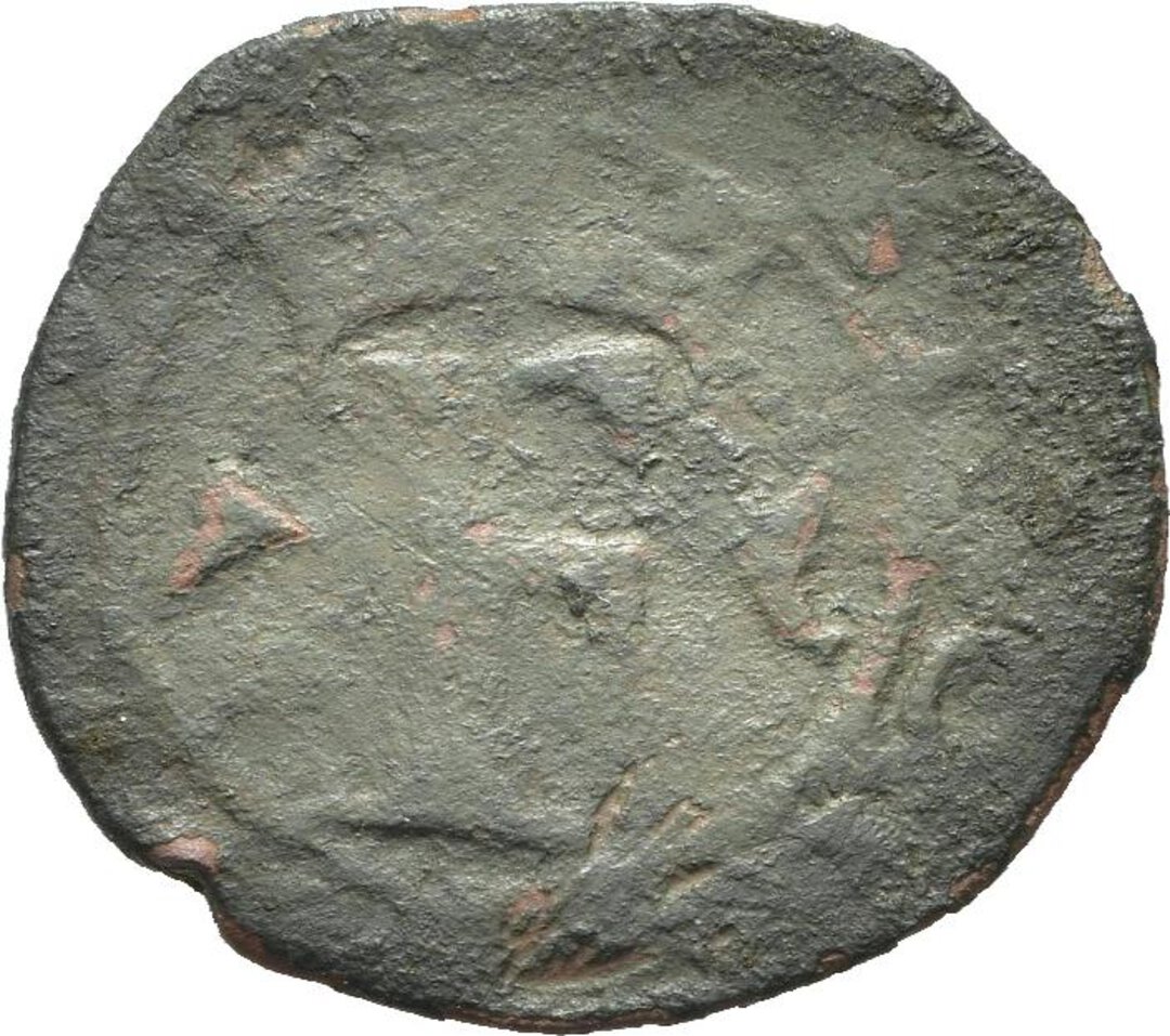 Dritto moneta