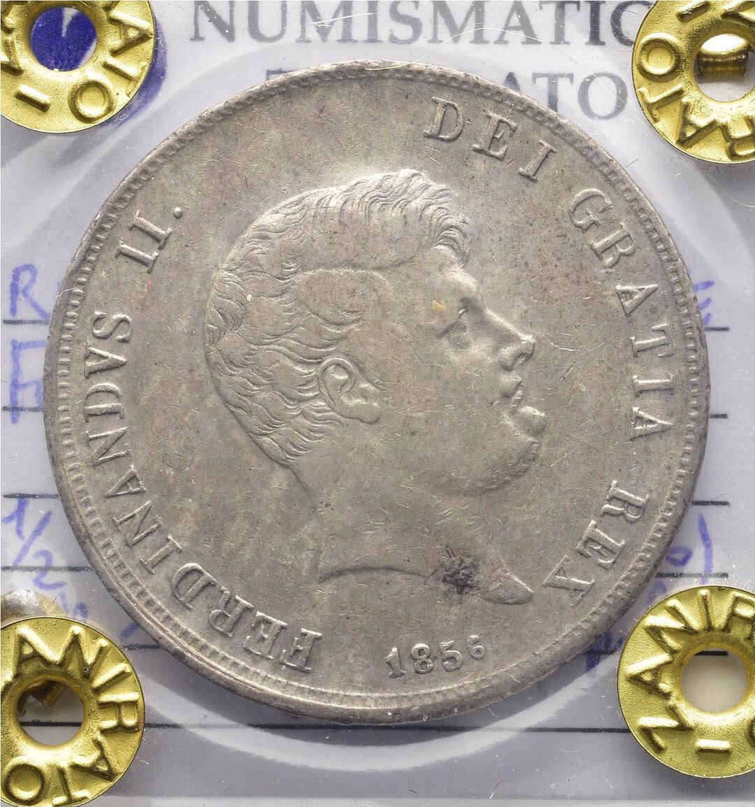 Dritto moneta