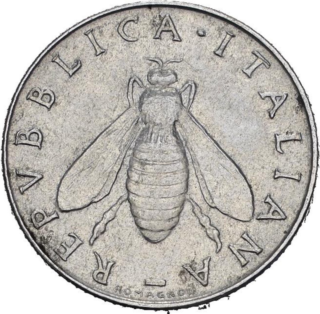 Dritto moneta