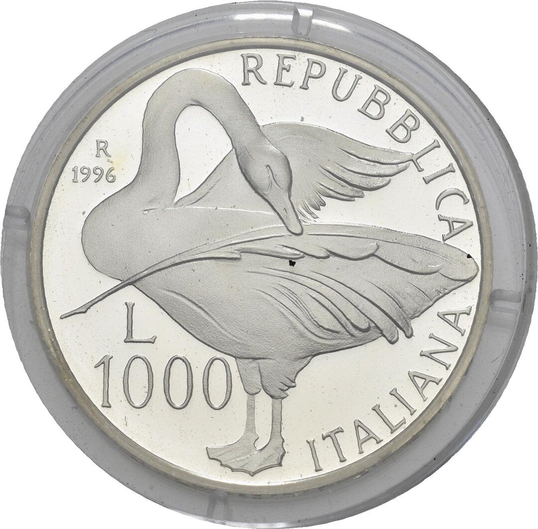 Dritto moneta