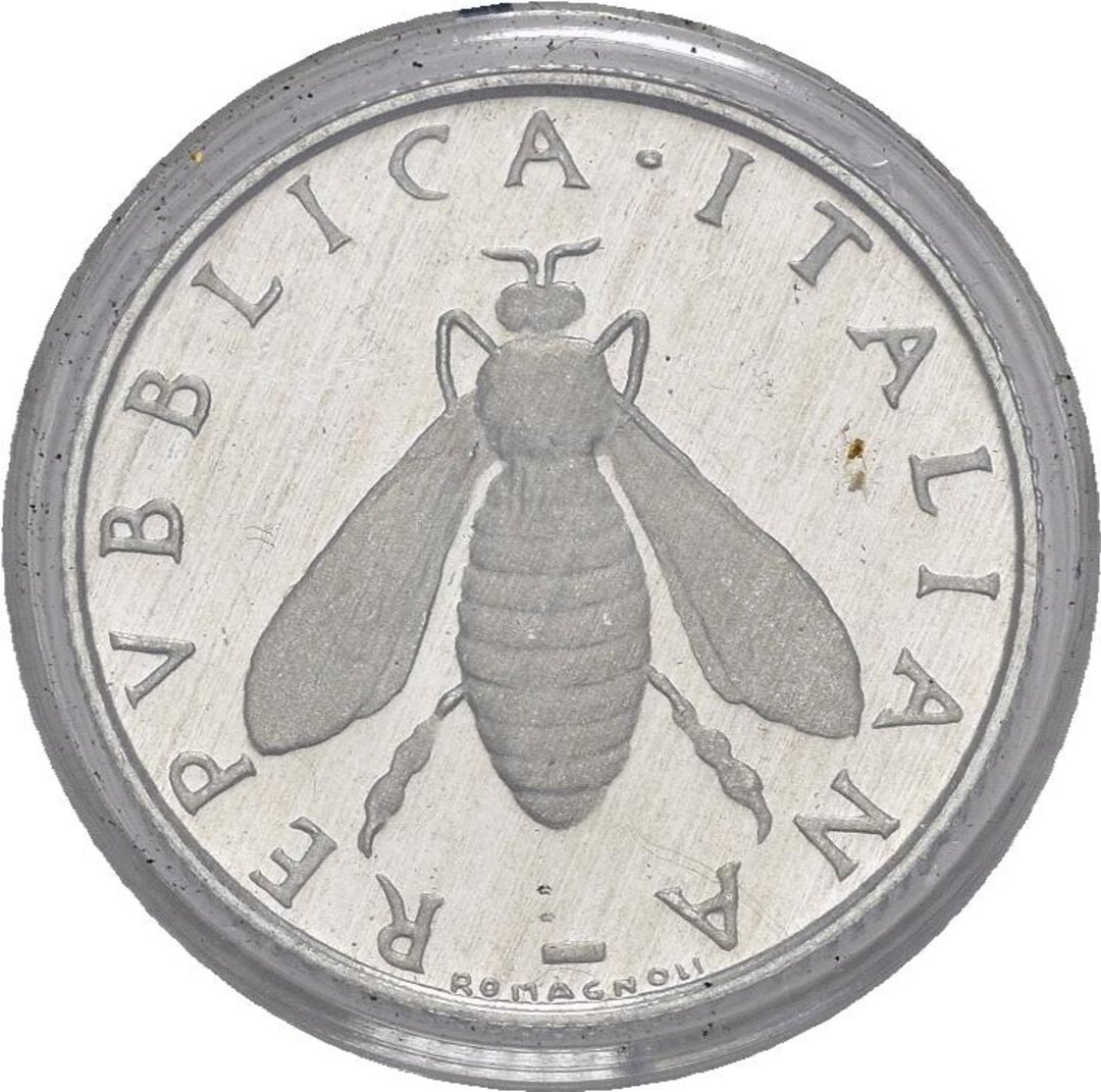 Dritto moneta