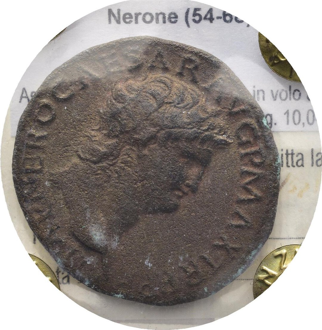 Dritto moneta