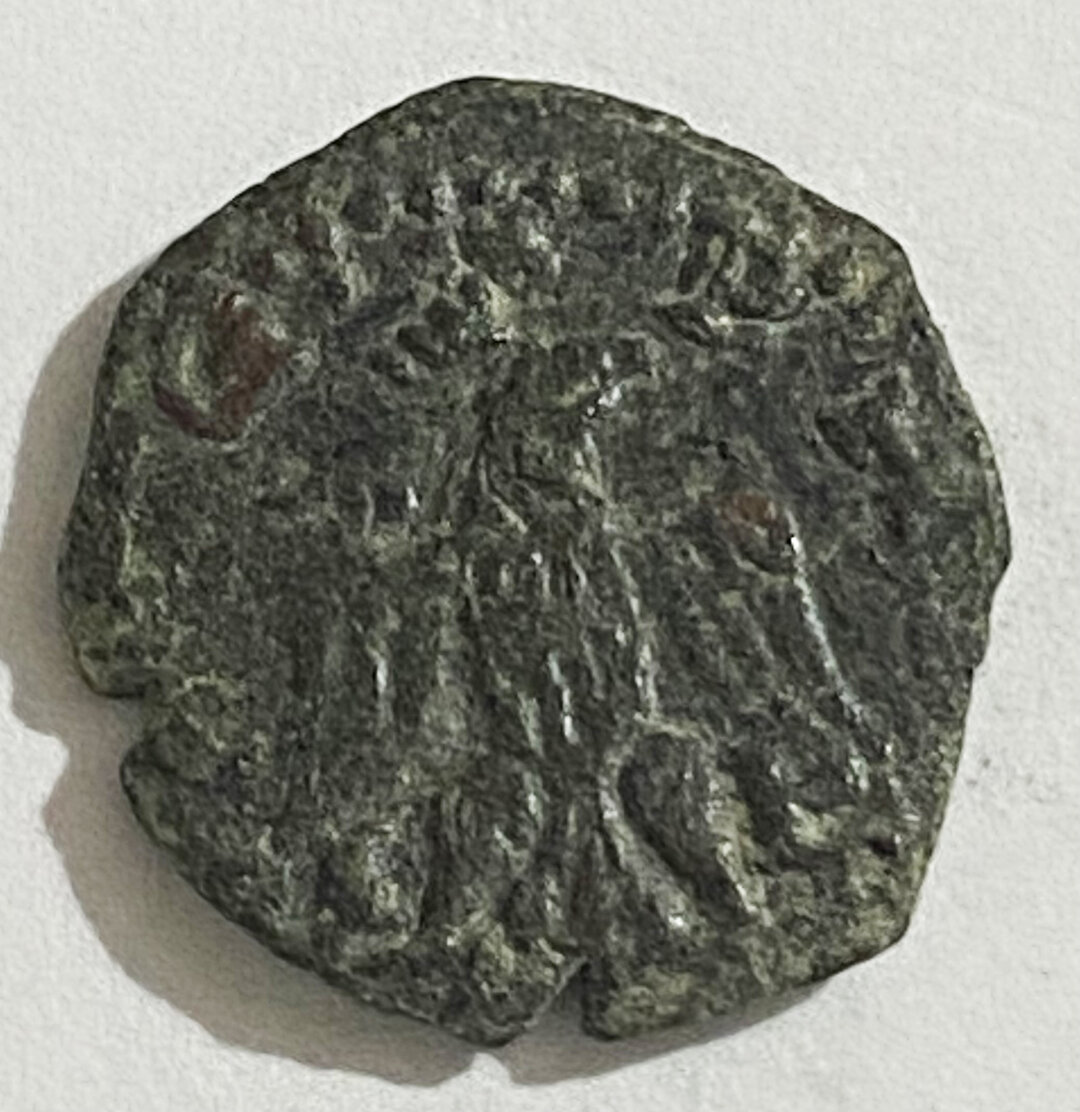Dritto moneta