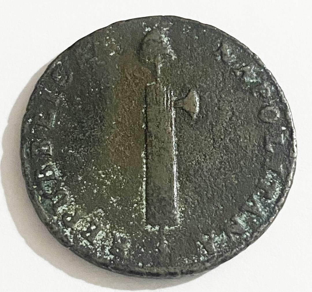 Dritto moneta