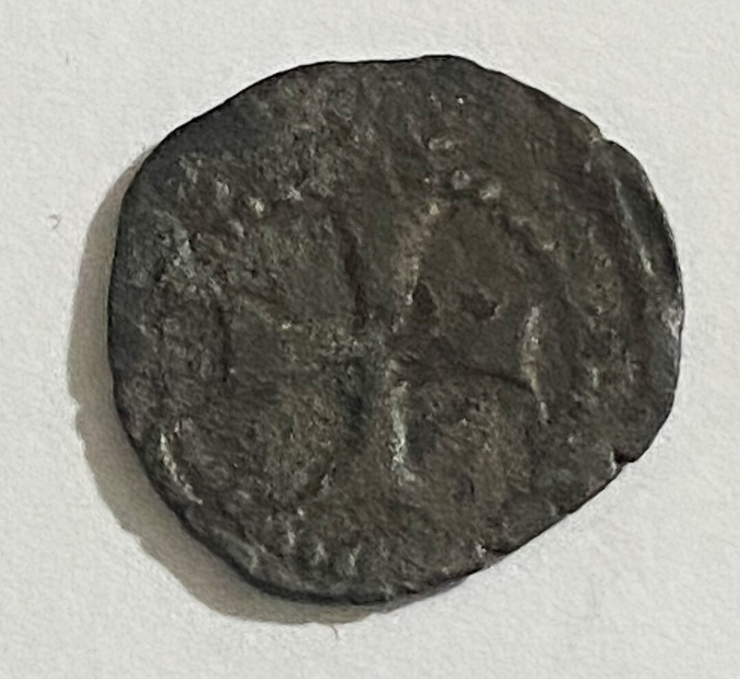 Rovescio moneta